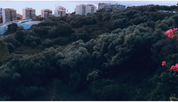 À Ajaccio, un collectif citoyen veut sauvegarder la Pietrina, "dernier poumon vert du centre-ville"