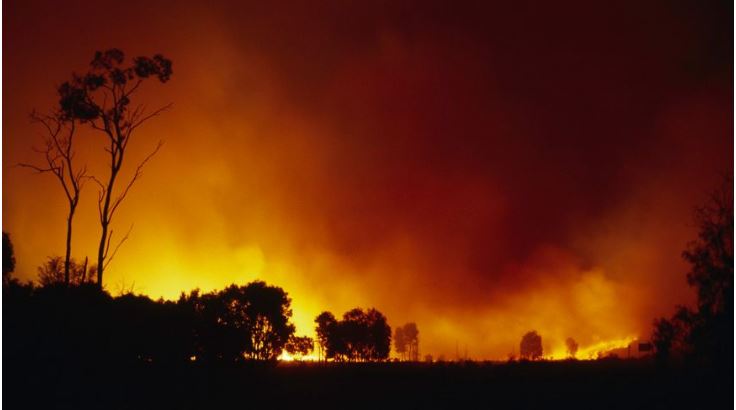 Méga-feux en Australie : est-ce possible en Corse ? 
