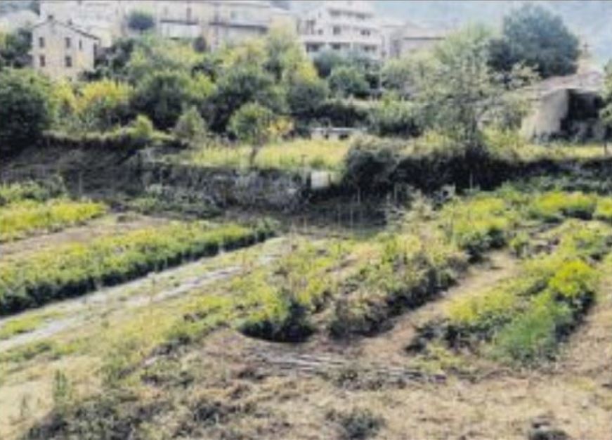 Des formations professionnelles courtes au Campus AgriCorsica