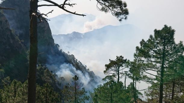 Feu de Quenza-Solaro : L’incendie surveillé, 200 pompiers toujours sur place