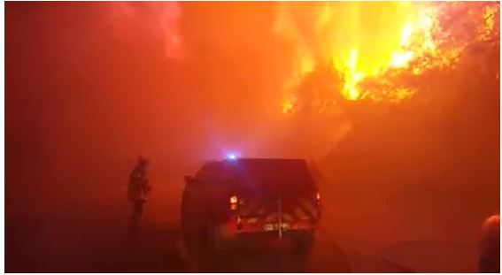 VIDEO - 230 hectares en feu à Olmeta di Tuda 