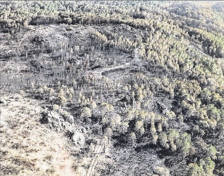 Incendies : la lutte continue entre Bavella et U Sulaghju