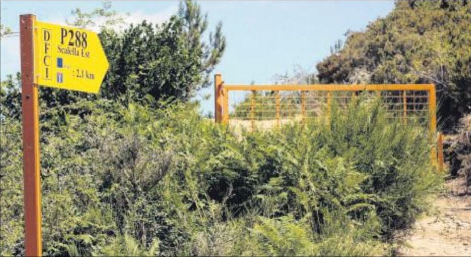 Tavera et l'épineux sujet de la Scalella