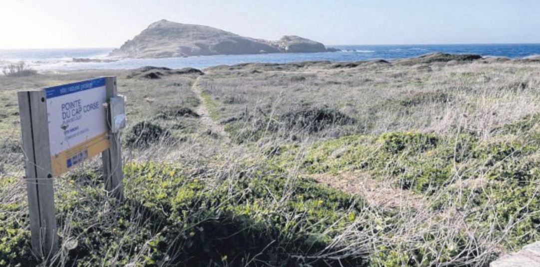 Le plan de l'îlot de Centuri se donne les moyens de son succès