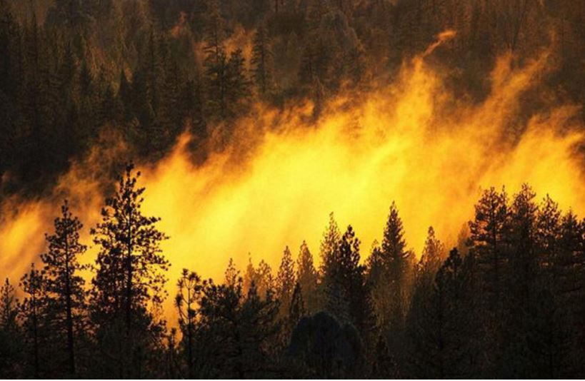 Coup de vent prévu : risque important d’incendie en Corse en fin de semaine 