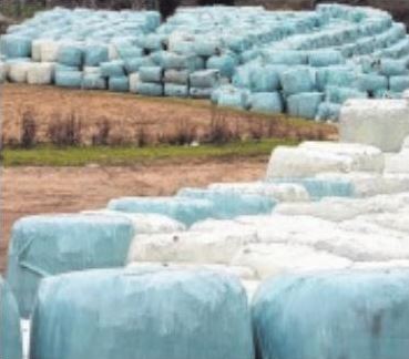Crise des déchets, c'est par où la sortie ?