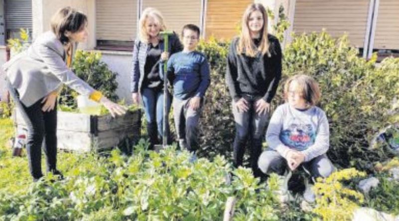 Au collège Maria Ghjentile, une classe pilote "verte" et plurilingue