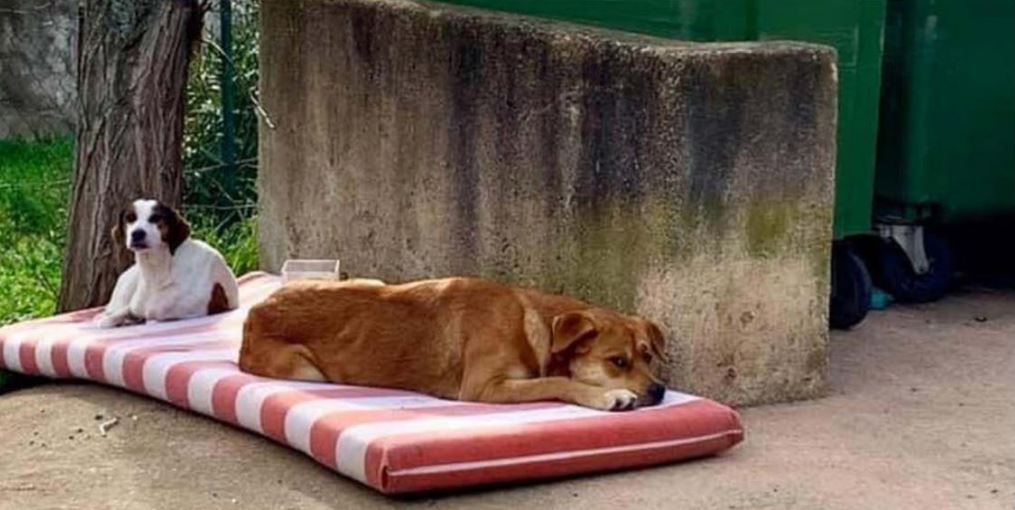 L'incivisme des uns fait le bonheur des autres