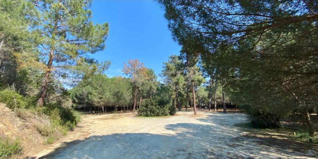 Forêt de Pinia : le message enfin compris