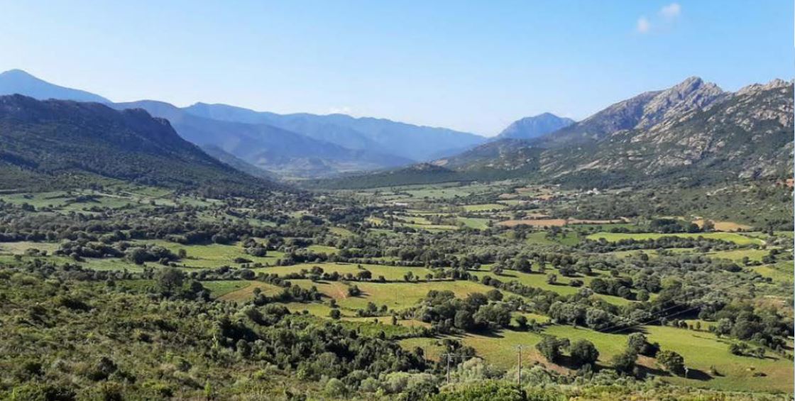 CALINZANA  Affacata di u veranu per u Marzulinu