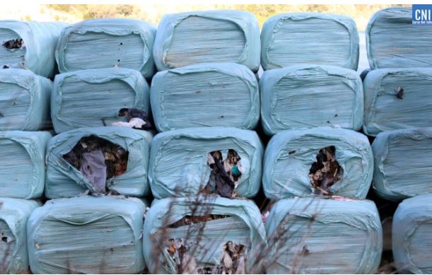 Exportation des déchets en PACA : L’Assemblée de Corse valide « un mal nécessaire » ! 