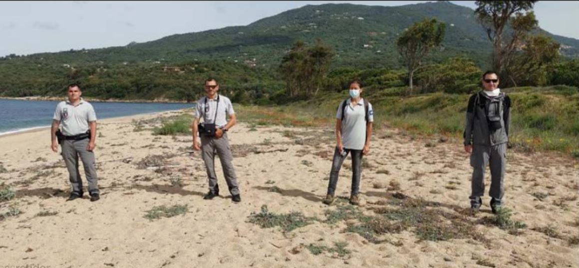 Réouverture des Plages    Attention des oiseaux marins ont installé leurs nids