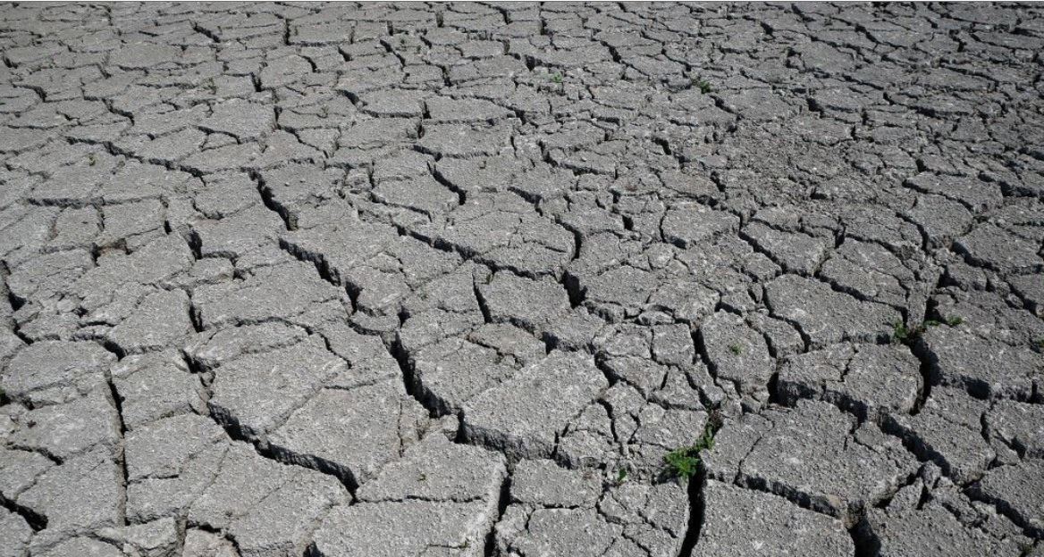 Météo : la Haute-Corse pourrait être menacée par la sécheresse cet été 