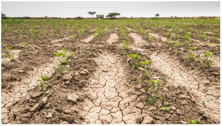 Assez d'eau pour passer l'été ?