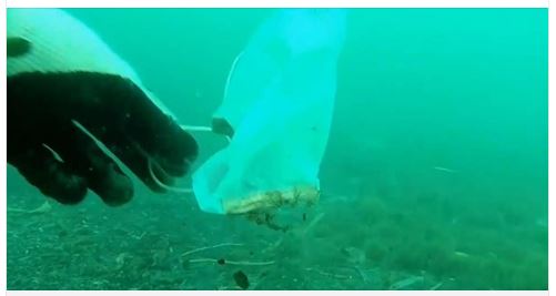 Les masques et les gants jetables polluent déjà la Méditerranée