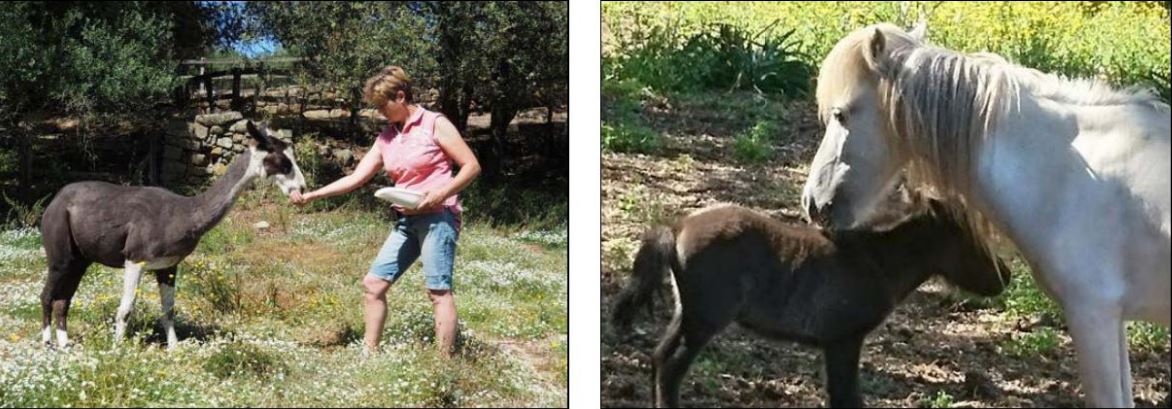 Le parc d'Olva : bucolique et pédagogique