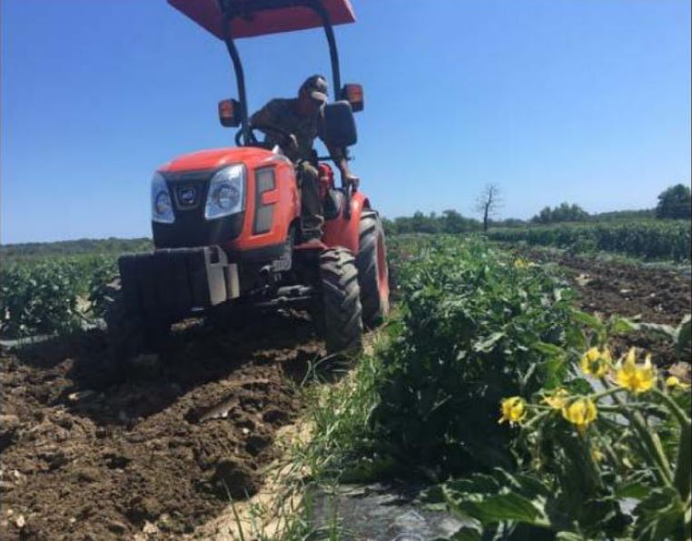 Les producteurs locaux s'organisent face à la crise