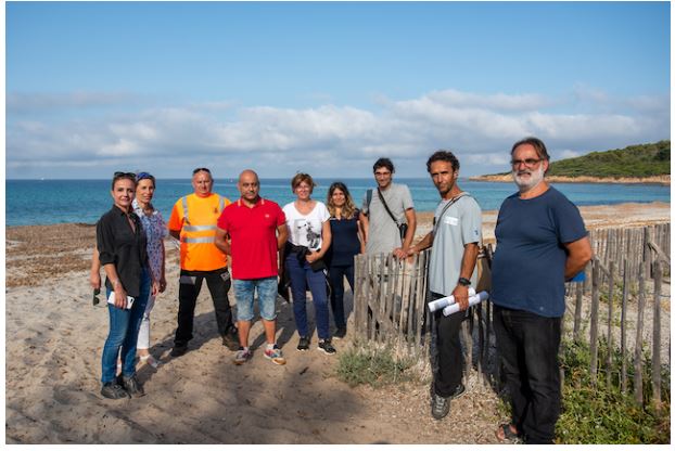 La préservation des posidonies au cœur du nettoyage de la plage de Capo di Feno