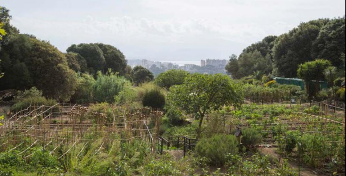 Umani : le moment est venu de cultiver son jardin