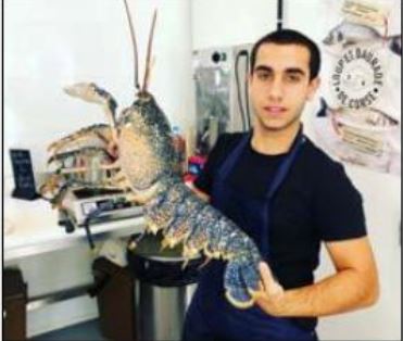 SANT'AMBROGGIO Le homard coule des jours heureux à Stella Mare