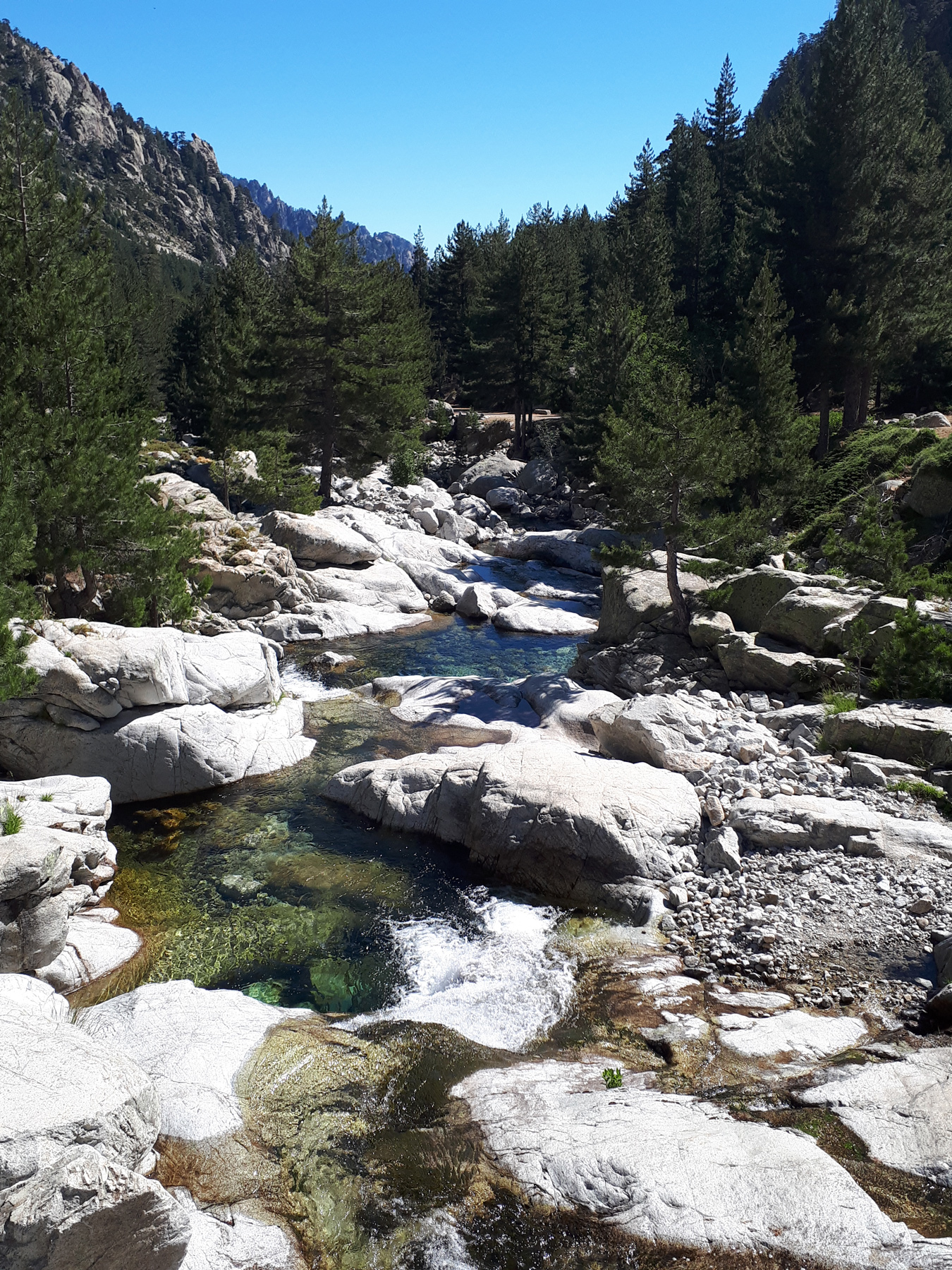 Mise en place de l’équipe de gestion de la Réserve Naturelle de Corse du Massif du Monte Ritondu