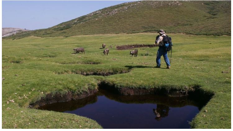 Projet d’Antennes 4G au Cuscionu : polémique entre écologistes et élus de l’Alta Rocca 