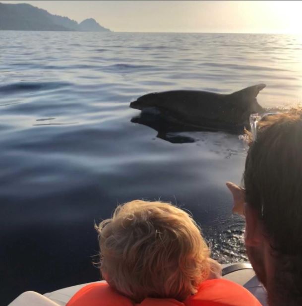 Porto : le dauphin et l'enfant 