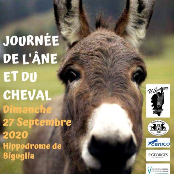 Biguglia : la Journée du cheval et de l’âne aura bien lieu 
