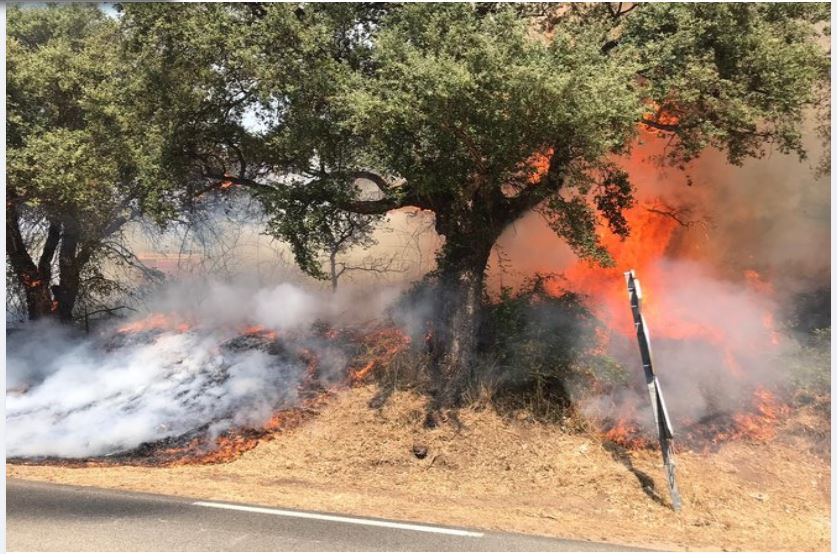 Lutte contre le feu : l'action de la Réserve Entreprise au sein du SIS Pumonti 