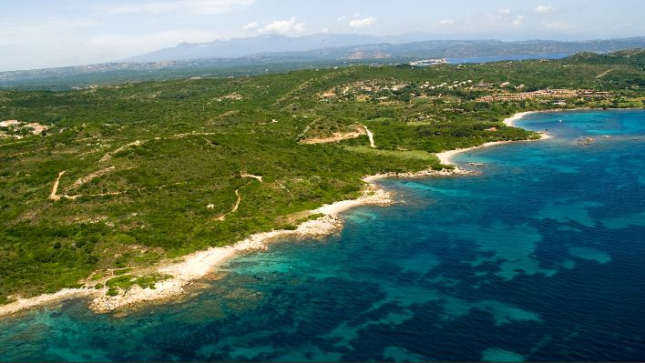 BUNIFAZIU  Un dauphin mourant repéré près de la côte