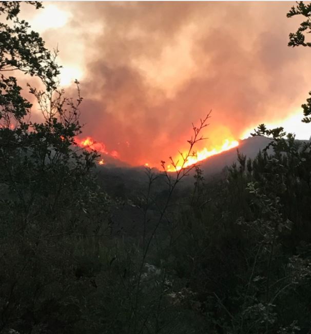 Plusieurs mises à feu à Feliceto : 10 hectares partis en fumée