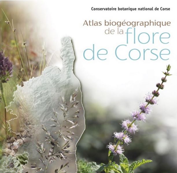 Toute la diversité de la flore corse recensée dans le nouvel Atlas biogéographique d’Albiana 