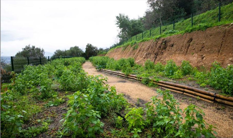 AIACCIU  Semer la cohésion à l'Empereur avec les jardins familiaux
