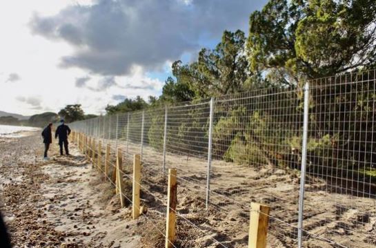 Porto-Vecchio : Une clôture de 300 mètres sur la plage de Palumbaghja