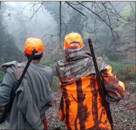 CHASSE AU SANGLIER   La fermeture repoussée au 28 février en Haute-Corse