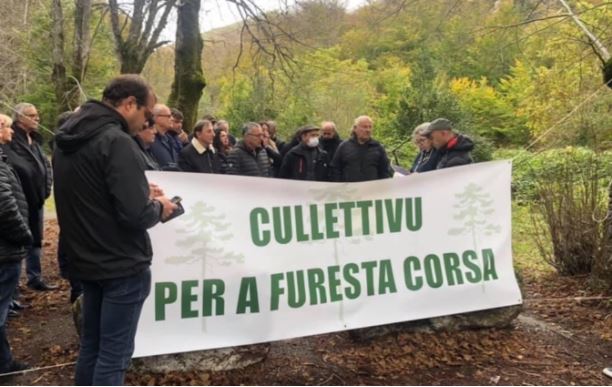 U cullettivu per a furesta corsa veut remettre "la forêt au centre du débat public"