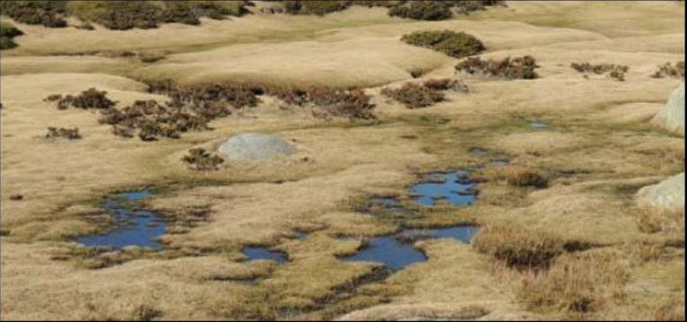 PLATEAU DU CUSCIONU   Deux territoires à pied d'oeuvre pour l'équilibre du site