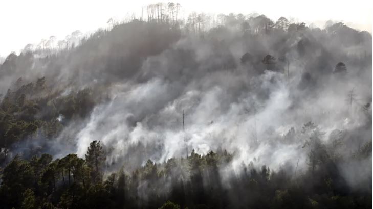 EDF est-elle responsable des incendies qui en 2009 ont touché le sartenais ?