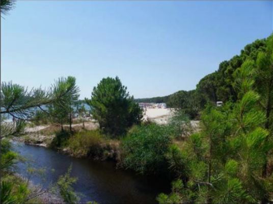 SANTA LUCIA DI PORTIVECHJU   À la découverte du site Natura 2000 de Pinarellu