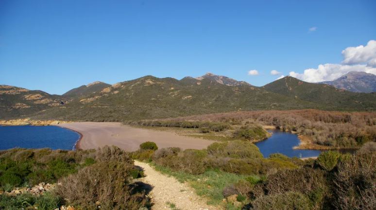 È campà quì : Da u Falasorma à Cutuli è Curtichjatu