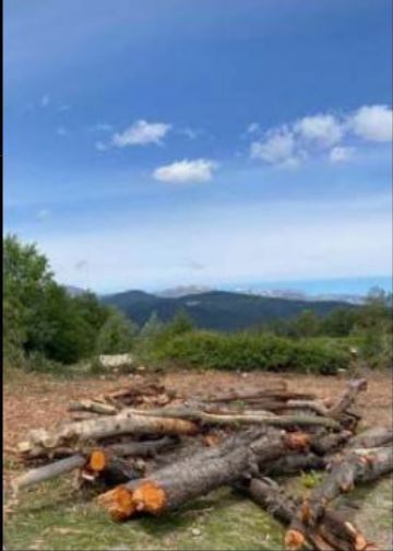 Volée de bois vert contre la base aérienne