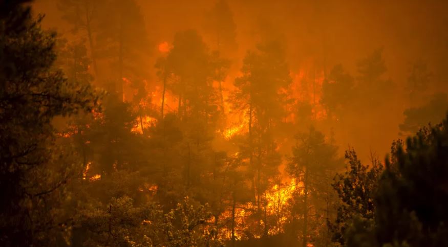 Changement climatique : ce qu'il faut retenir du sixième rapport des experts du Giec