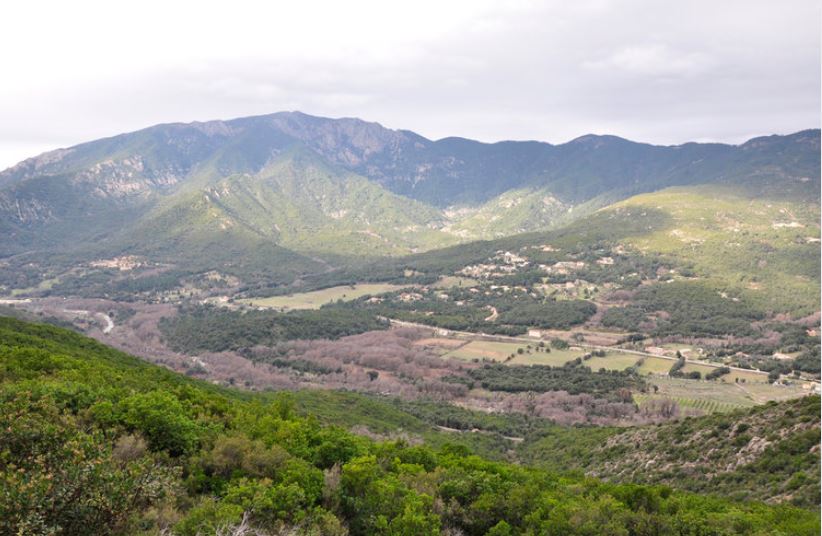 Gestion des estives, préservation et développement de la montagne : l'État ne peut pas être seul à la manœuvre selon Femu a Corsica