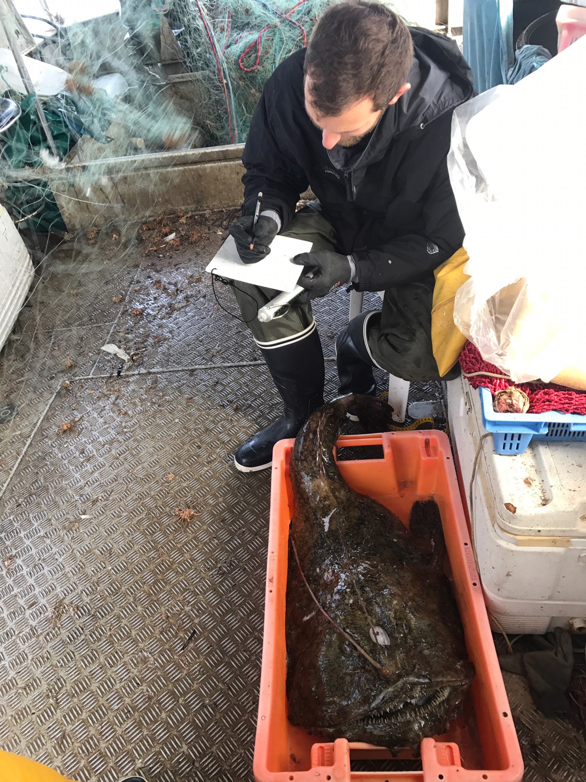 Un réseau d’observateurs scientifiques embarqués à bord des navires de la petite pêche côtière de Corse