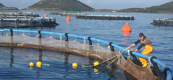 FIN DE PROGRAMMATION 2014-2020, dossiers Pêche et Aquaculture (Feamp, RCEN, de Minimis)
