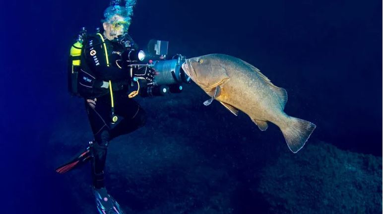 Mare latinu : Albert Saladini chasseur d’images de la mer à la scène.