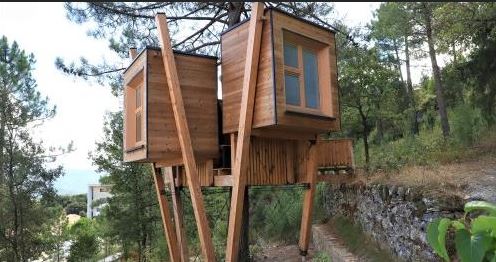 Corte : des cabanes dans les arbres