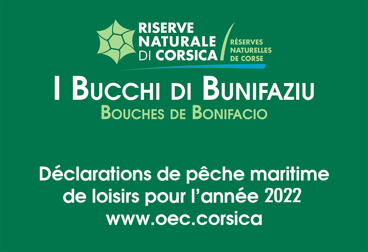 Déclarations de pêche de loisir 2022