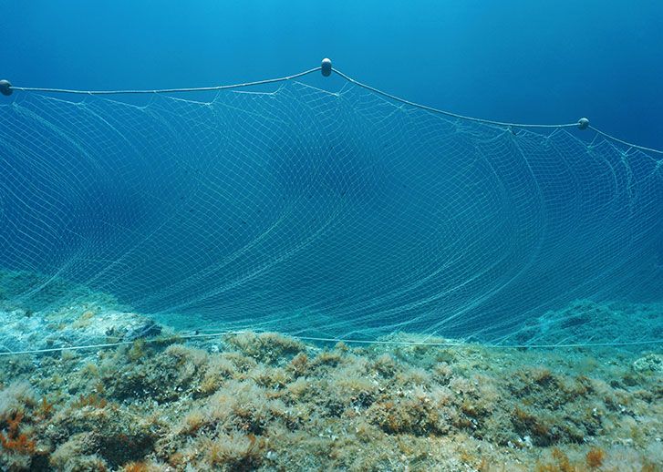 FABRICATION FILETS NOUÉS ET FILETS DE PÊCHE - Tunisie producteur Recherche  de client - Espaceagro