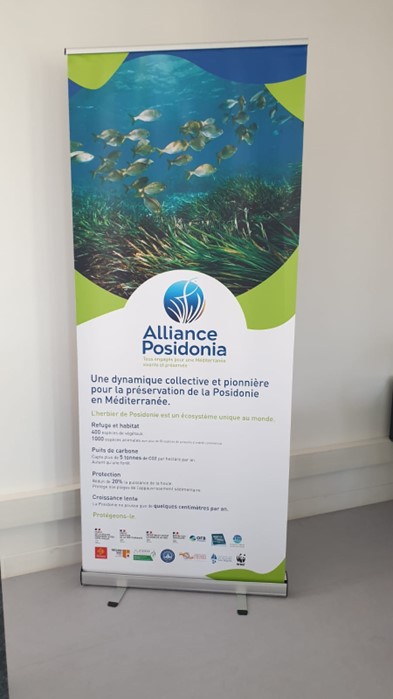 ALLIANCE POSIDONIA - JOURNÉE DES PARTENAIRES